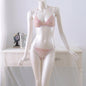 Premium Embroidered French Bikini Set